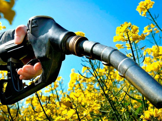 Firma canadiense especializada en biocombustibles comprometió expansión de negocios en Uruguay