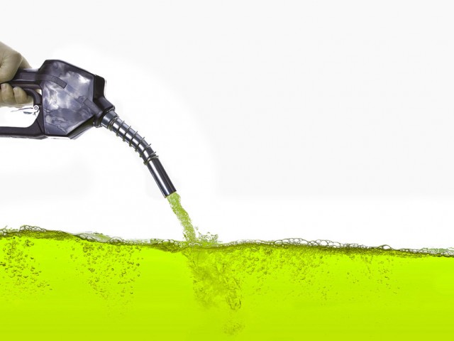 Europa quiere mejorar la política de producción de biocombustibles