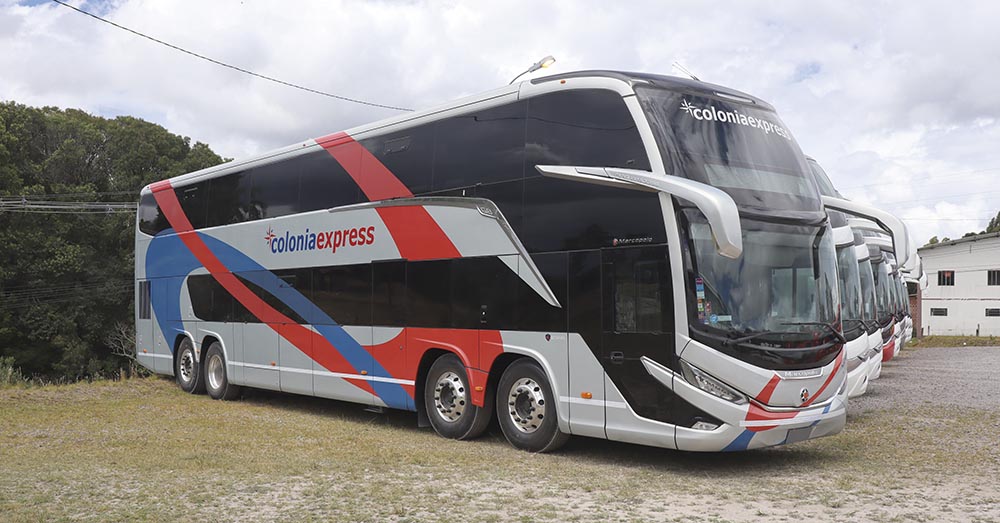 Novedad-2023-Colonia-express.jpg