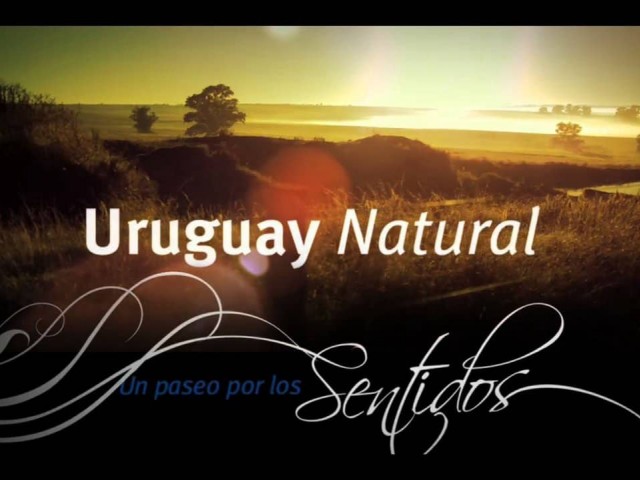 Casi 200 empresas de diversos rubros ya promocionan marca Uruguay Natural