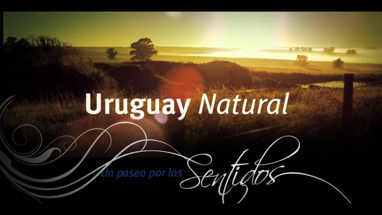 Casi 200 empresas de diversos rubros ya promocionan marca Uruguay Natural