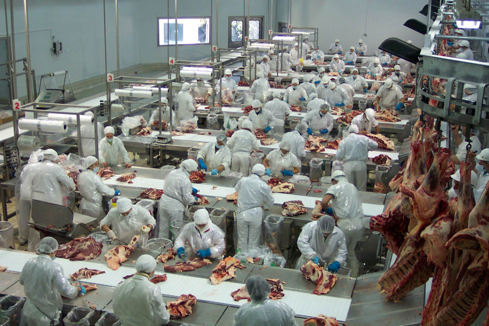 Instituto Nacional de Carnes proyecta aumento del 7 % en las exportaciones vacunas para 2016