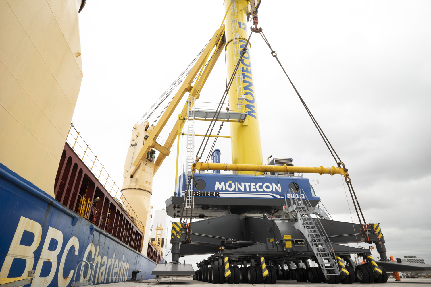 Montecon anuncia medidas de apoyo al sector importador para promover el comercio