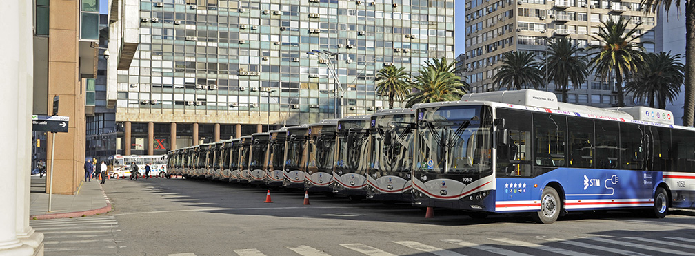 Se presentaron 30 ómnibus eléctricos para el transporte capitalino