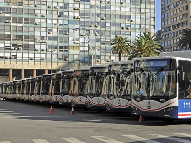 Se presentaron 30 ómnibus eléctricos para el transporte capitalino