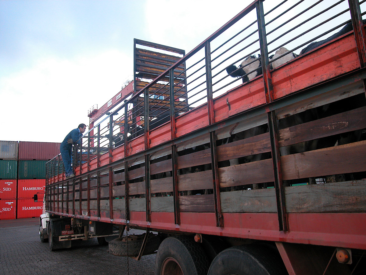 Recomendaciones para el transporte de carnes y productos cárnicos del Uruguay
