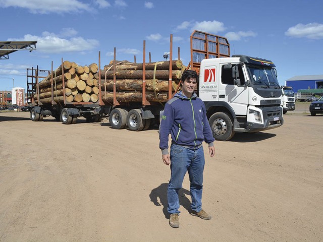 Agustín Viana, Director de San Nicolás: “Nuestros desafíos son crecer en el rubro forestal e incursionar en otros”