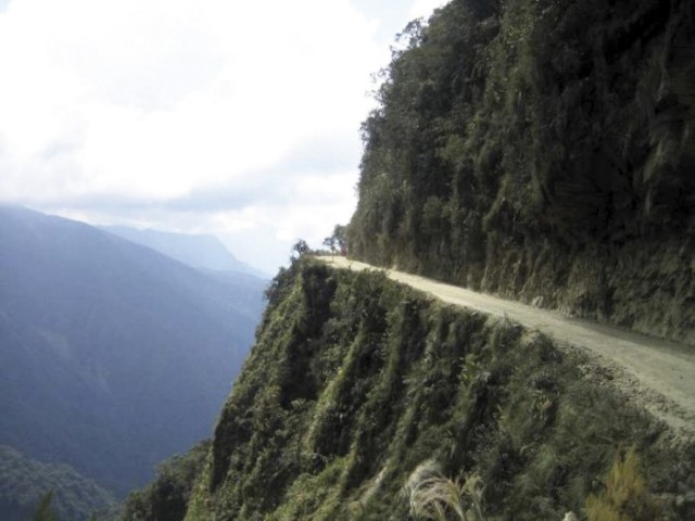 Yungas