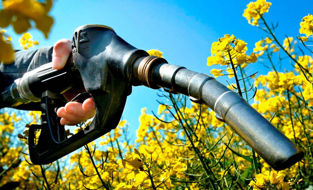 Firma canadiense especializada en biocombustibles comprometió expansión de negocios en Uruguay
