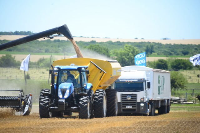 Se inauguró de la cosecha del trigo en Dolores