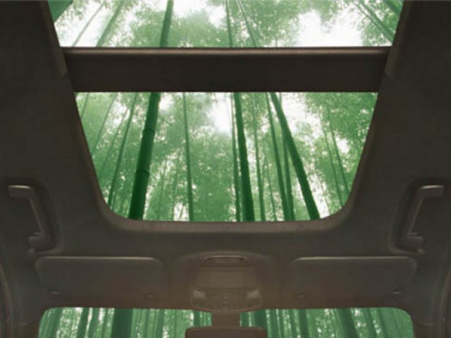 Ford investiga la utilización del bambú para fabricar componentes de vehículos 