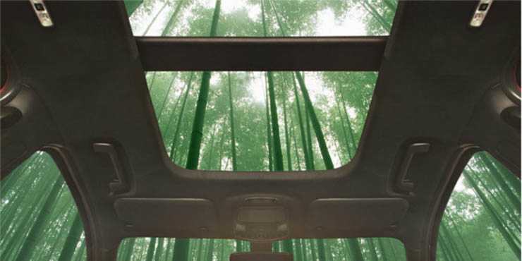 Ford investiga la utilización del bambú para fabricar componentes de vehículos 