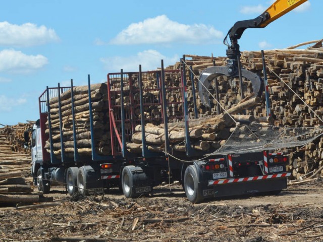Cambios en exigencias de seguridad para carga forestal