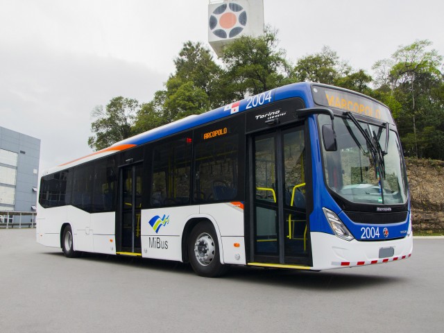 Marcopolo suministrará 203 autobuses Torino Low Entry para el sistema de transporte de Panamá