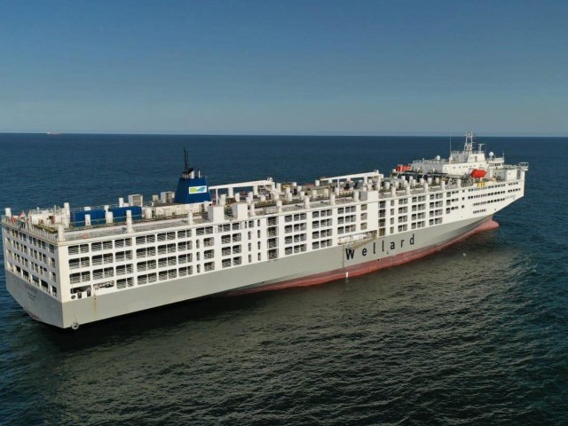 Puerto de Montevideo, Desde el muelle: Ocean Drover el buque ganadero más grande del mundo