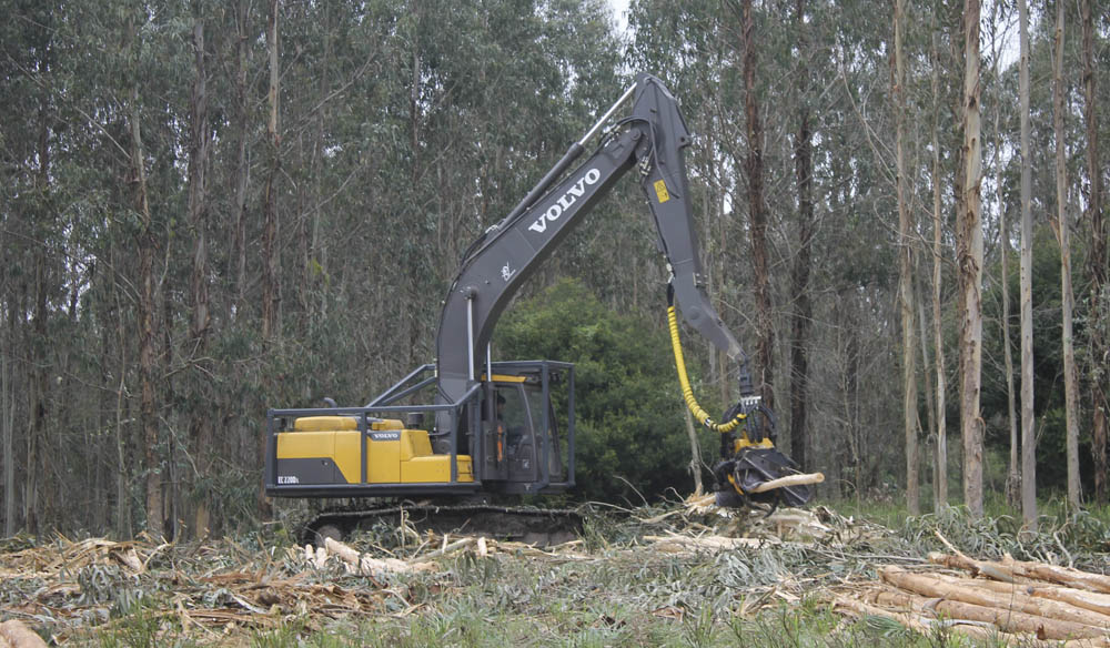 Volvo presenta en Uruguay las excavadoras específicas para la cosecha forestal